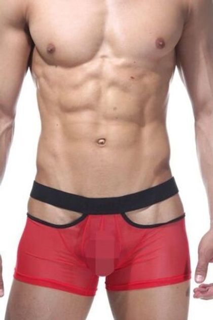 Откровенные трусы-боксеры из полупрозрачной ткани