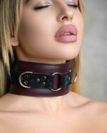 Ошейник бдсм арсенал on the strap