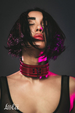 Бордовый ошейник eccentric