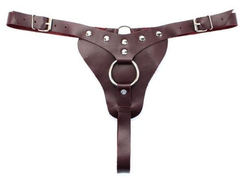 Трусики с кольцом для насадок panties